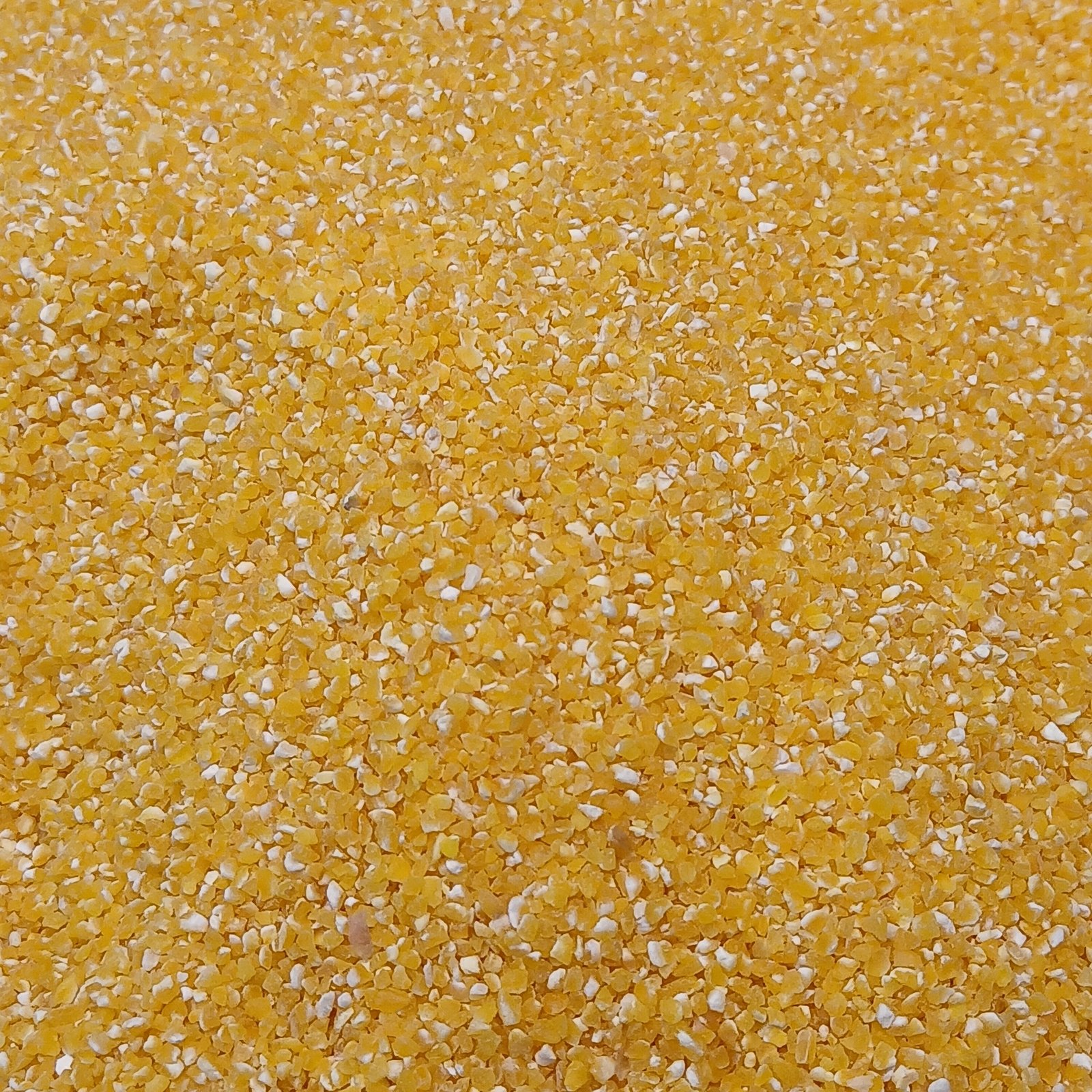 Premium golden corn grits