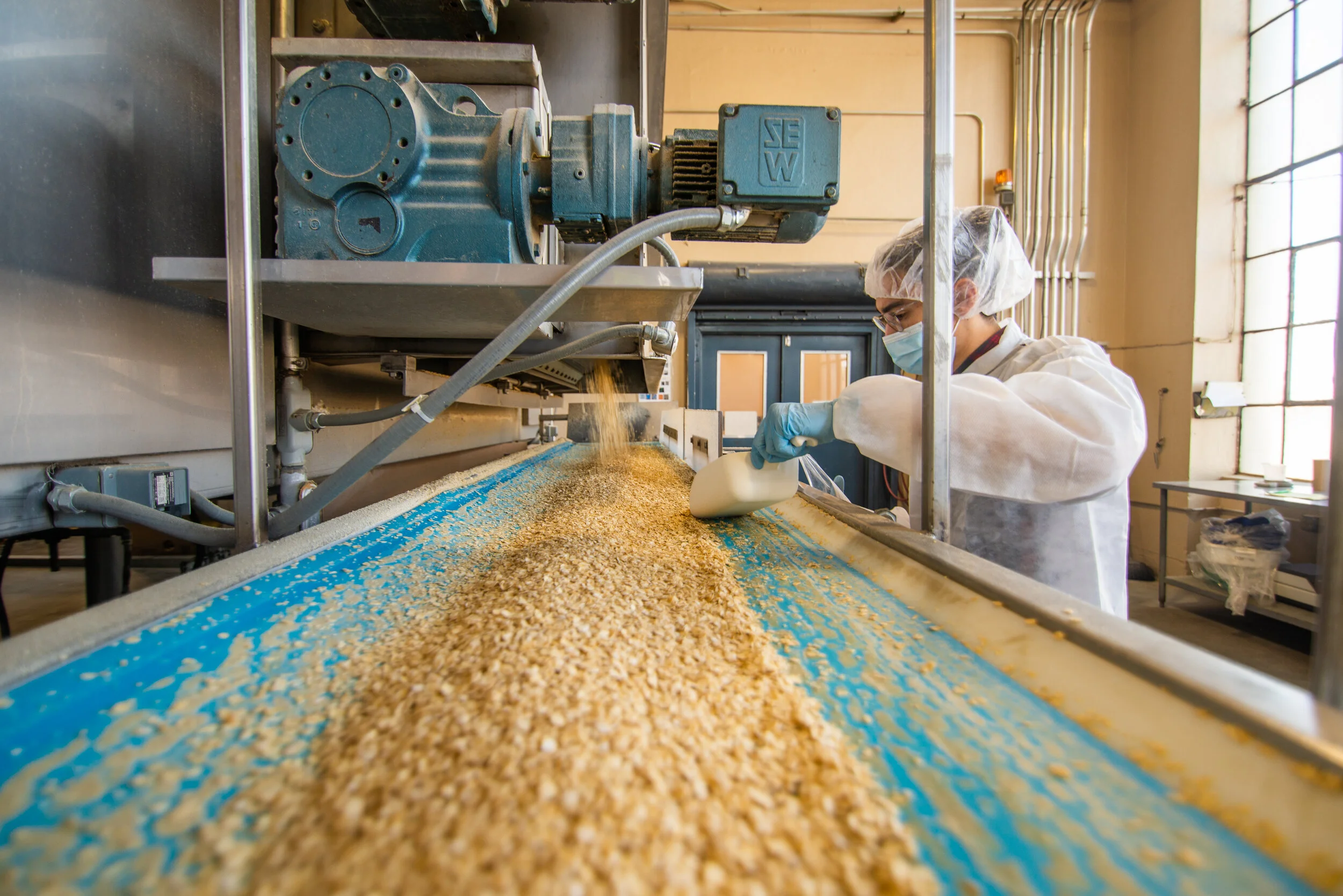 Quality specialist inspecting processed ingredients
