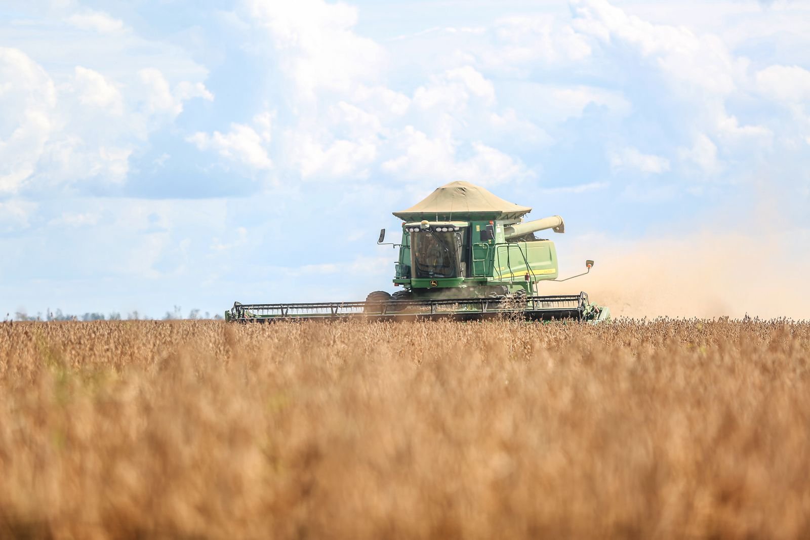 Agricultural crop sourcing